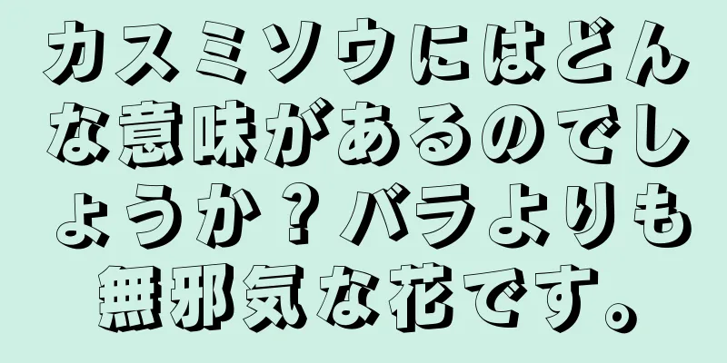 カスミソウにはどんな意味があるのでしょうか？バラよりも無邪気な花です。