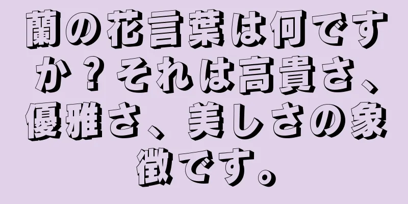 蘭の花言葉は何ですか？それは高貴さ、優雅さ、美しさの象徴です。