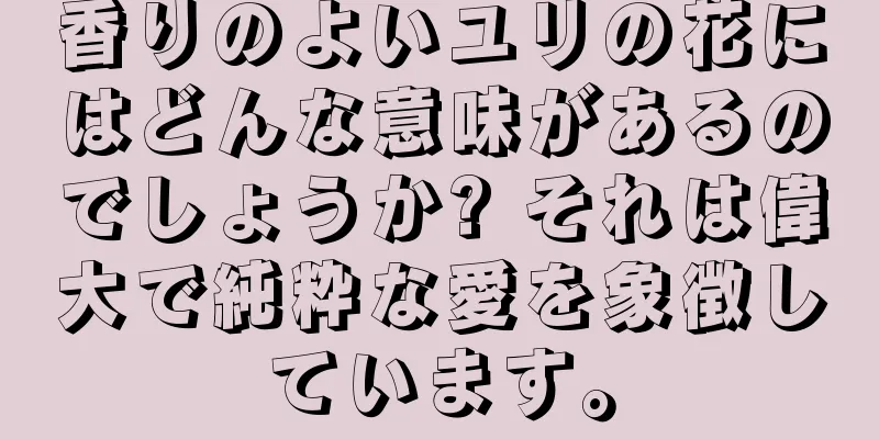 香りのよいユリの花にはどんな意味があるのでしょうか? それは偉大で純粋な愛を象徴しています。