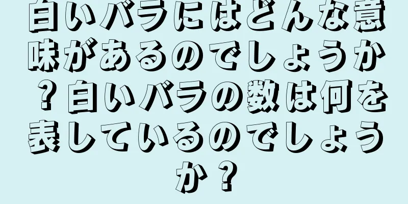 白いバラにはどんな意味があるのでしょうか？白いバラの数は何を表しているのでしょうか？