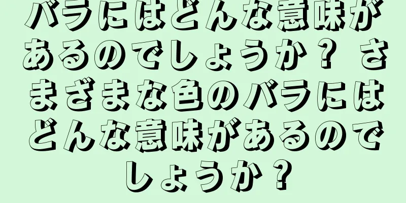 バラにはどんな意味があるのでしょうか？ さまざまな色のバラにはどんな意味があるのでしょうか？