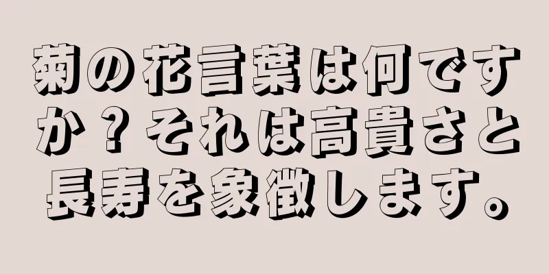 菊の花言葉は何ですか？それは高貴さと長寿を象徴します。