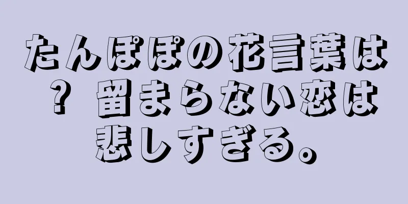 たんぽぽの花言葉は？ 留まらない恋は悲しすぎる。