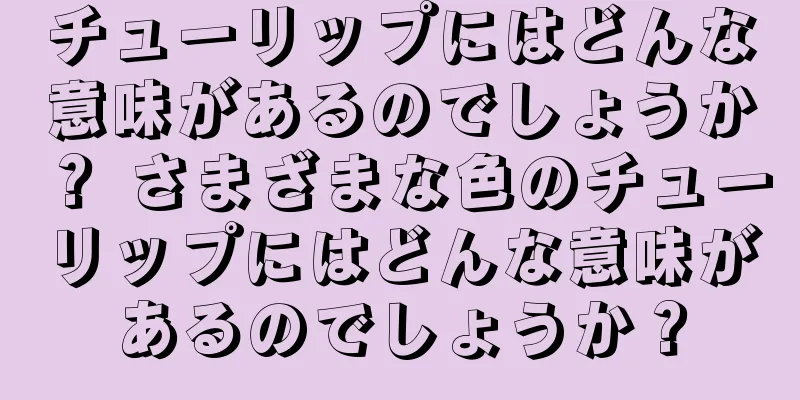 チューリップにはどんな意味があるのでしょうか？ さまざまな色のチューリップにはどんな意味があるのでしょうか？