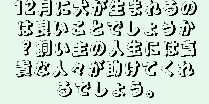 12月に犬が生まれるのは良いことでしょうか？飼い主の人生には高貴な人々が助けてくれるでしょう。