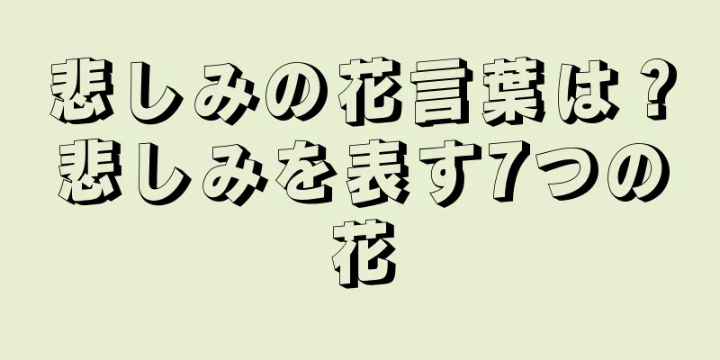 悲しみの花言葉は？悲しみを表す7つの花