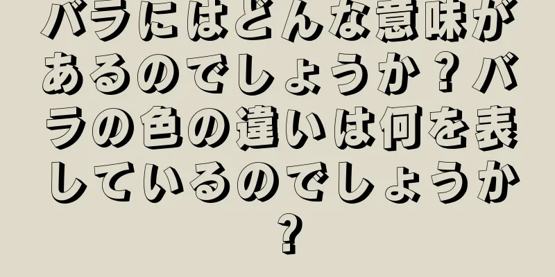 バラにはどんな意味があるのでしょうか？バラの色の違いは何を表しているのでしょうか？