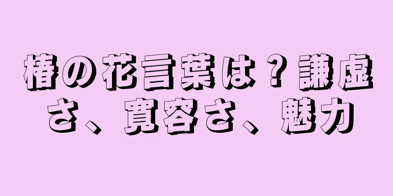 椿の花言葉は？謙虚さ、寛容さ、魅力
