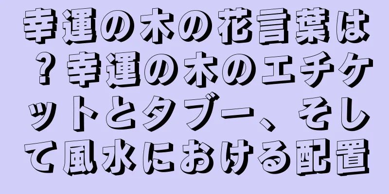 幸運の木の花言葉は？幸運の木のエチケットとタブー、そして風水における配置