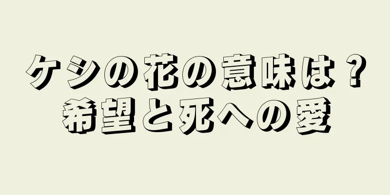 ケシの花の意味は？希望と死への愛