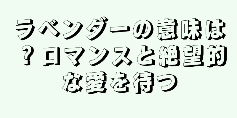 ラベンダーの意味は？ロマンスと絶望的な愛を待つ