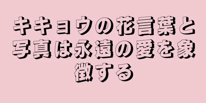 キキョウの花言葉と写真は永遠の愛を象徴する