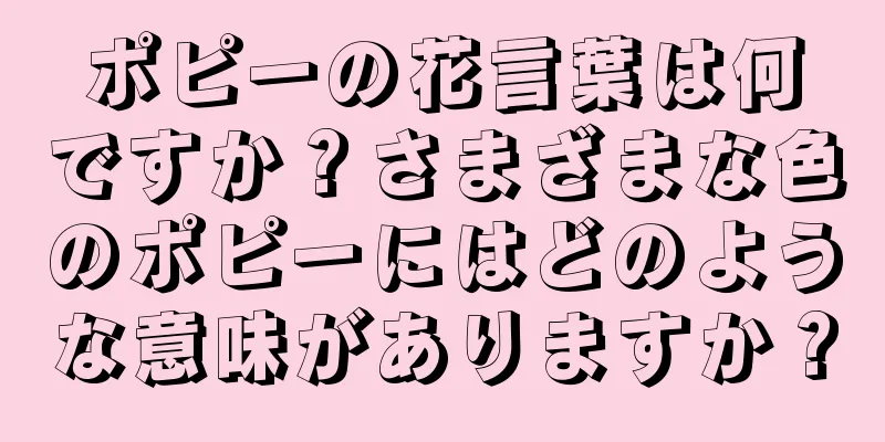 ポピーの花言葉は何ですか？さまざまな色のポピーにはどのような意味がありますか？