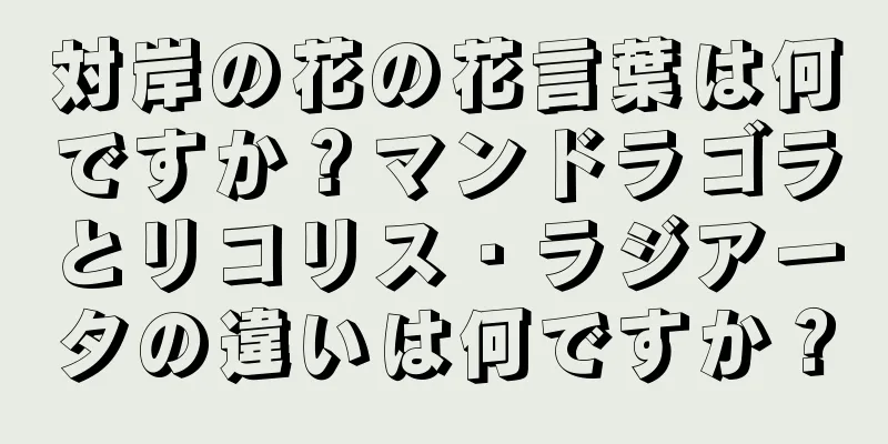 対岸の花の花言葉は何ですか？マンドラゴラとリコリス・ラジアータの違いは何ですか？