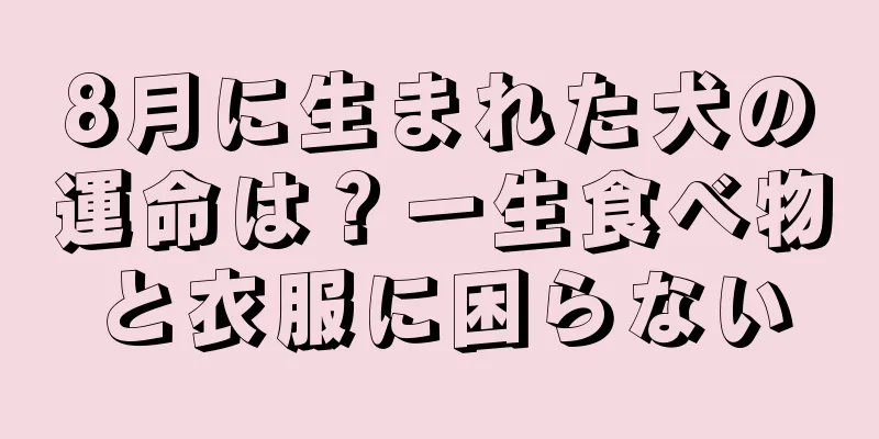 8月に生まれた犬の運命は？一生食べ物と衣服に困らない