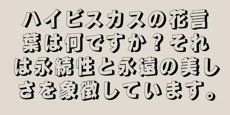 ハイビスカスの花言葉は何ですか？それは永続性と永遠の美しさを象徴しています。