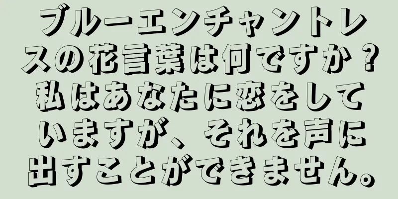 ブルーエンチャントレスの花言葉は何ですか？私はあなたに恋をしていますが、それを声に出すことができません。