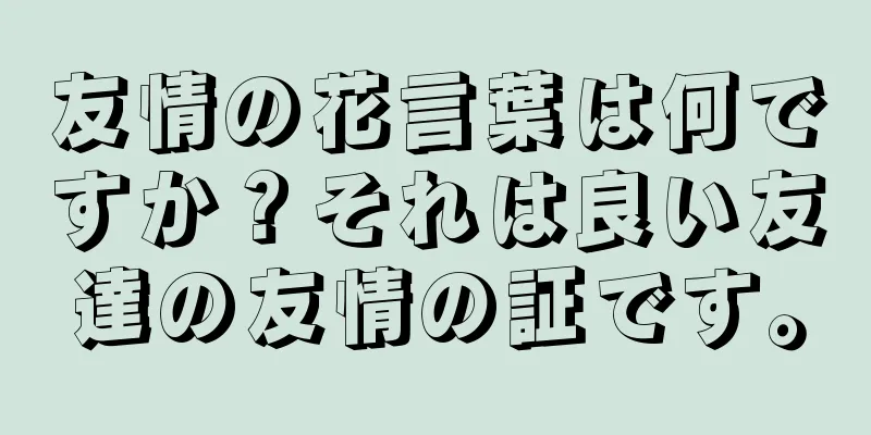 友情の花言葉は何ですか？それは良い友達の友情の証です。