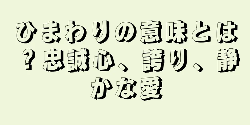 ひまわりの意味とは？忠誠心、誇り、静かな愛