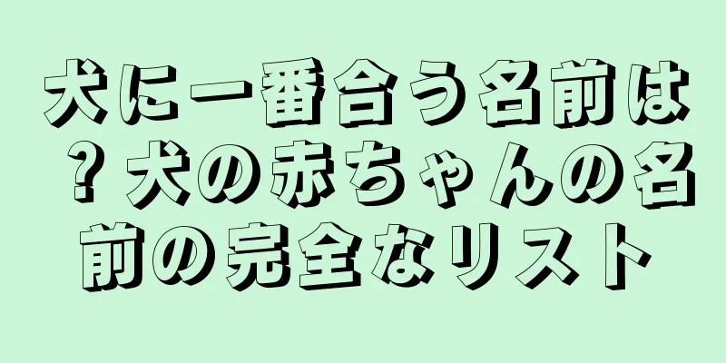 犬に一番合う名前は？犬の赤ちゃんの名前の完全なリスト