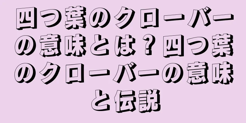 四つ葉のクローバーの意味とは？四つ葉のクローバーの意味と伝説