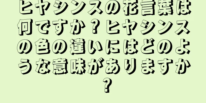 ヒヤシンスの花言葉は何ですか？ヒヤシンスの色の違いにはどのような意味がありますか？