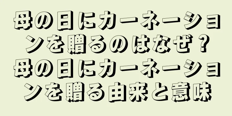 母の日にカーネーションを贈るのはなぜ？母の日にカーネーションを贈る由来と意味