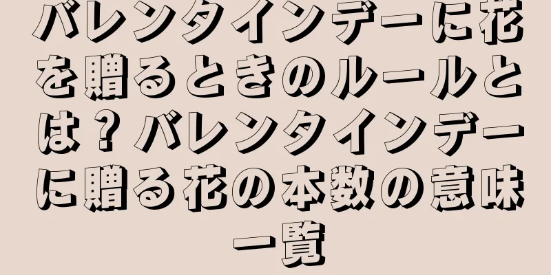 バレンタインデーに花を贈るときのルールとは？バレンタインデーに贈る花の本数の意味一覧