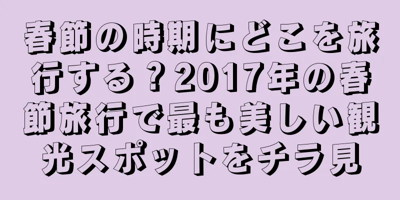春節の時期にどこを旅行する？2017年の春節旅行で最も美しい観光スポットをチラ見