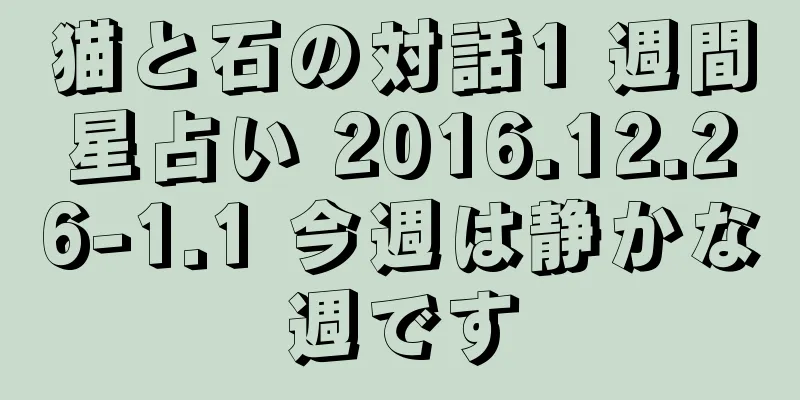 猫と石の対話1 週間星占い 2016.12.26-1.1 今週は静かな週です