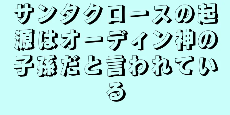 サンタクロースの起源はオーディン神の子孫だと言われている
