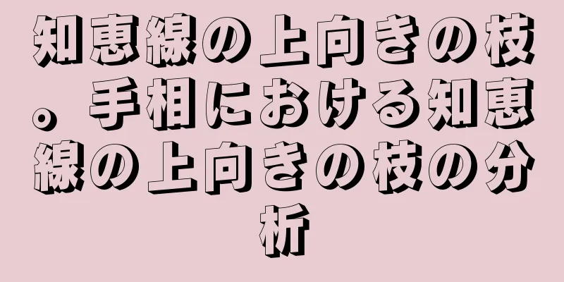 知恵線の上向きの枝。手相における知恵線の上向きの枝の分析