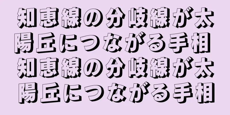 知恵線の分岐線が太陽丘につながる手相 知恵線の分岐線が太陽丘につながる手相