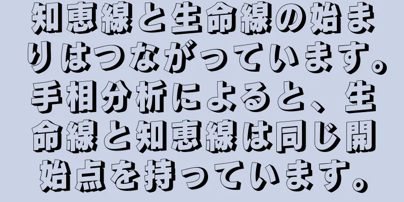 知恵線と生命線の始まりはつながっています。手相分析によると、生命線と知恵線は同じ開始点を持っています。