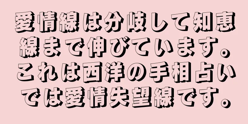 愛情線は分岐して知恵線まで伸びています。これは西洋の手相占いでは愛情失望線です。