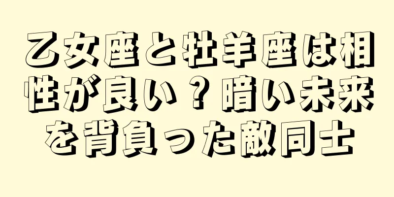 乙女座と牡羊座は相性が良い？暗い未来を背負った敵同士