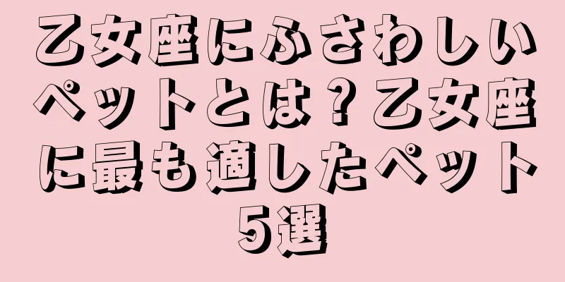 乙女座にふさわしいペットとは？乙女座に最も適したペット5選