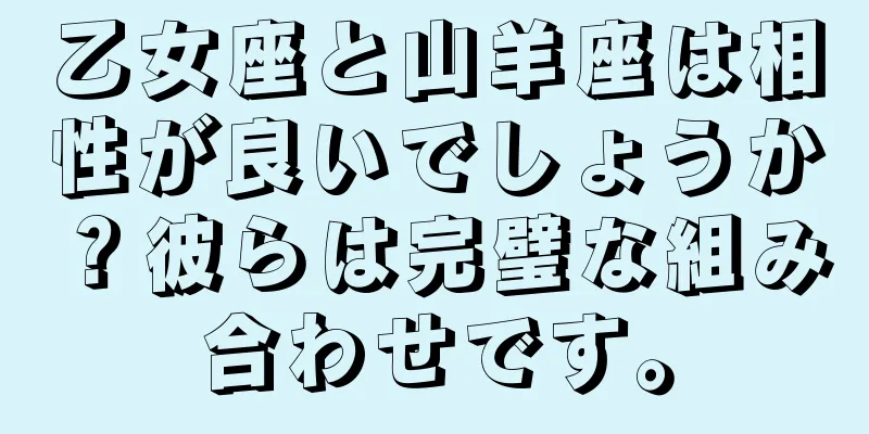 乙女座と山羊座は相性が良いでしょうか？彼らは完璧な組み合わせです。