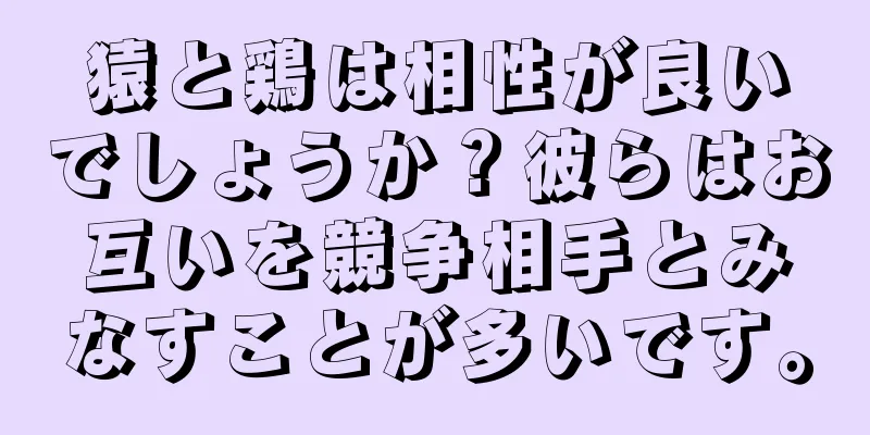 猿と鶏は相性が良いでしょうか？彼らはお互いを競争相手とみなすことが多いです。