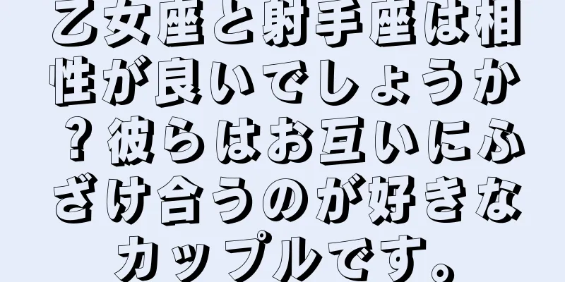 乙女座と射手座は相性が良いでしょうか？彼らはお互いにふざけ合うのが好きなカップルです。