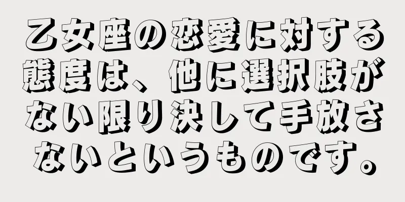 乙女座の恋愛に対する態度は、他に選択肢がない限り決して手放さないというものです。