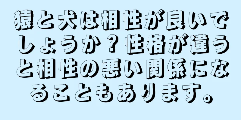 猿と犬は相性が良いでしょうか？性格が違うと相性の悪い関係になることもあります。