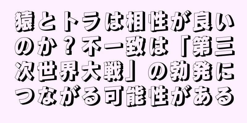 猿とトラは相性が良いのか？不一致は「第三次世界大戦」の勃発につながる可能性がある