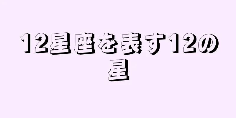 12星座を表す12の星