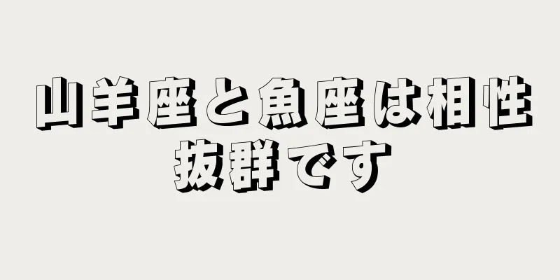 山羊座と魚座は相性抜群です