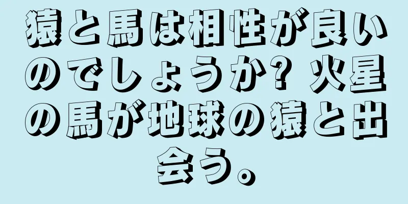 猿と馬は相性が良いのでしょうか? 火星の馬が地球の猿と出会う。
