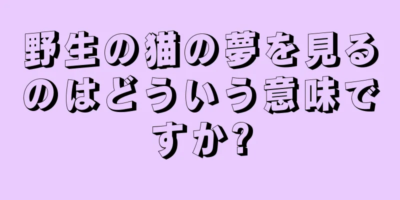 野生の猫の夢を見るのはどういう意味ですか?