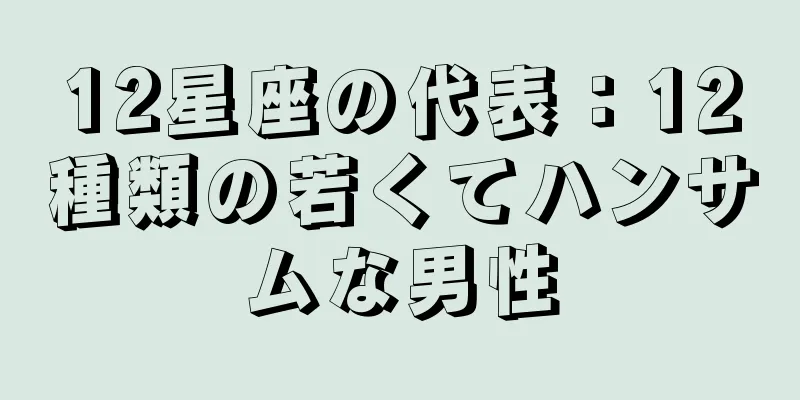 12星座の代表：12種類の若くてハンサムな男性