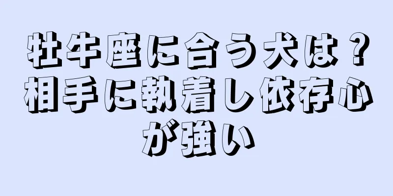 牡牛座に合う犬は？相手に執着し依存心が強い