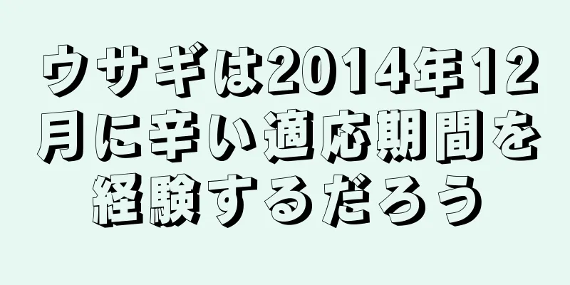 ウサギは2014年12月に辛い適応期間を経験するだろう
